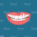 Zubi i higijena ~ kako pravilno njegovati zube?